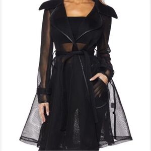Elegant Black Sheer Trench Coat